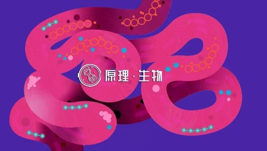 澳门码今晚开什么码澳门料,难哄20s吻戏,决策资料解释落实_GM版V6.27